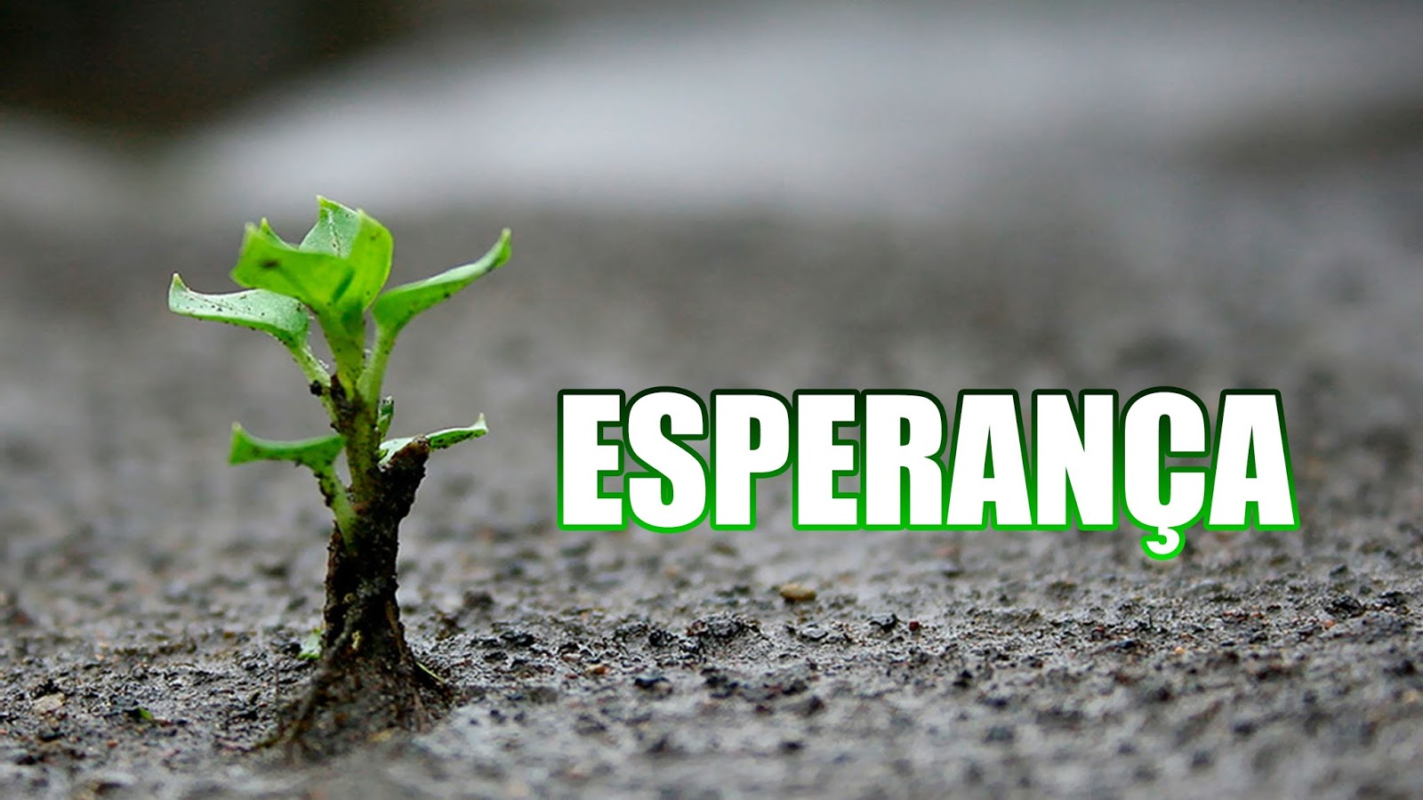 Com Deus há sempre esperança