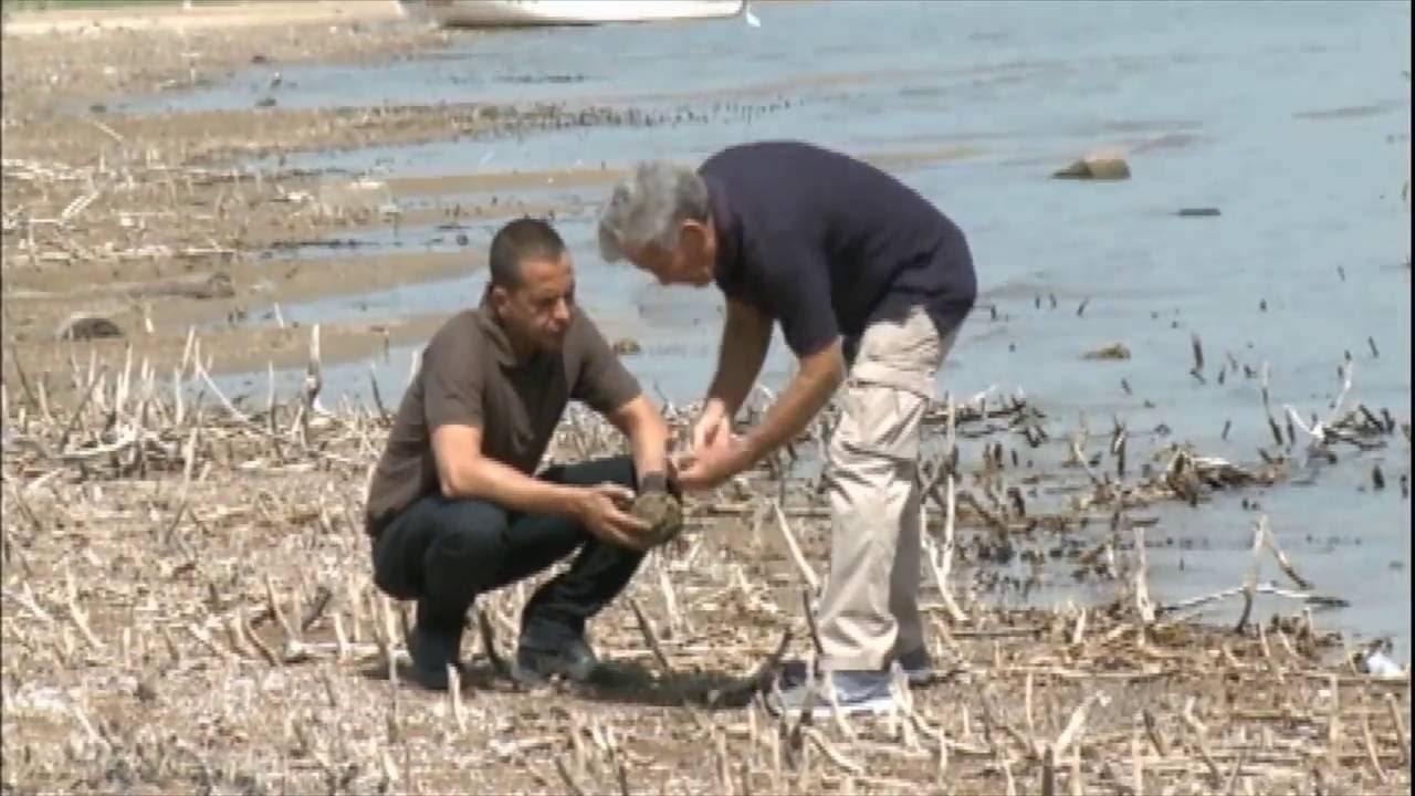 Mar da Galileia, em Israel, enfrenta a pior seca dos últimos quatro anos Mar Galileia1