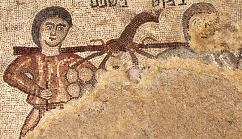 Mosaiico espias
