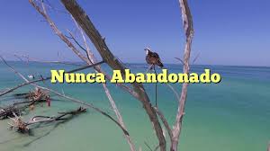 NuncaAbandonado