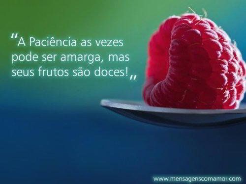 A Paciência, no fim, tem sempre travo doce