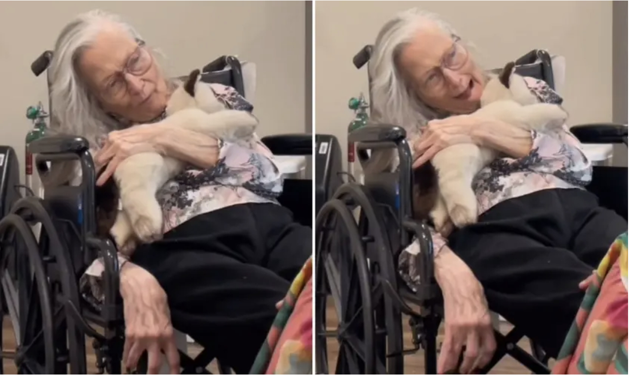 Testemunho de idosa com Alzheimer
