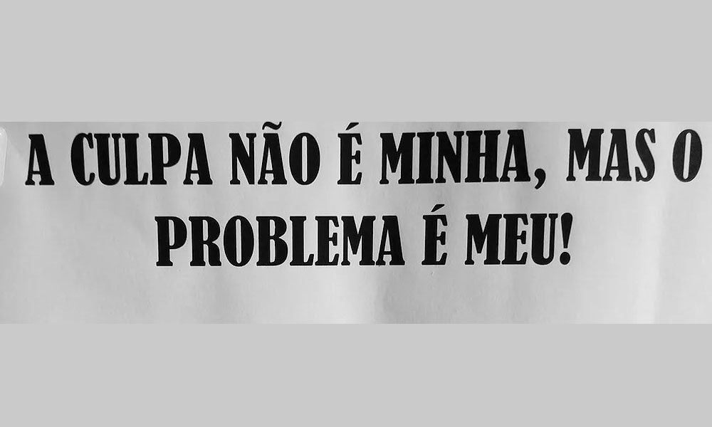  Culpa versus problema 