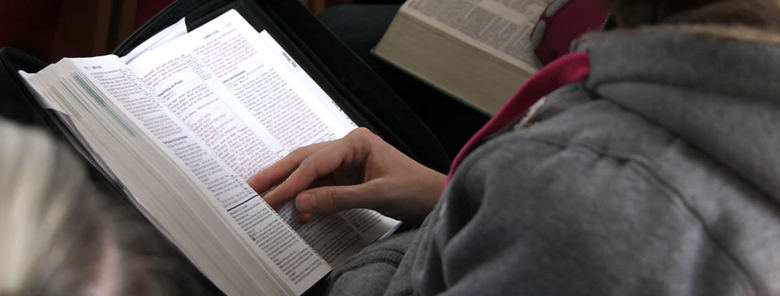 bible reading