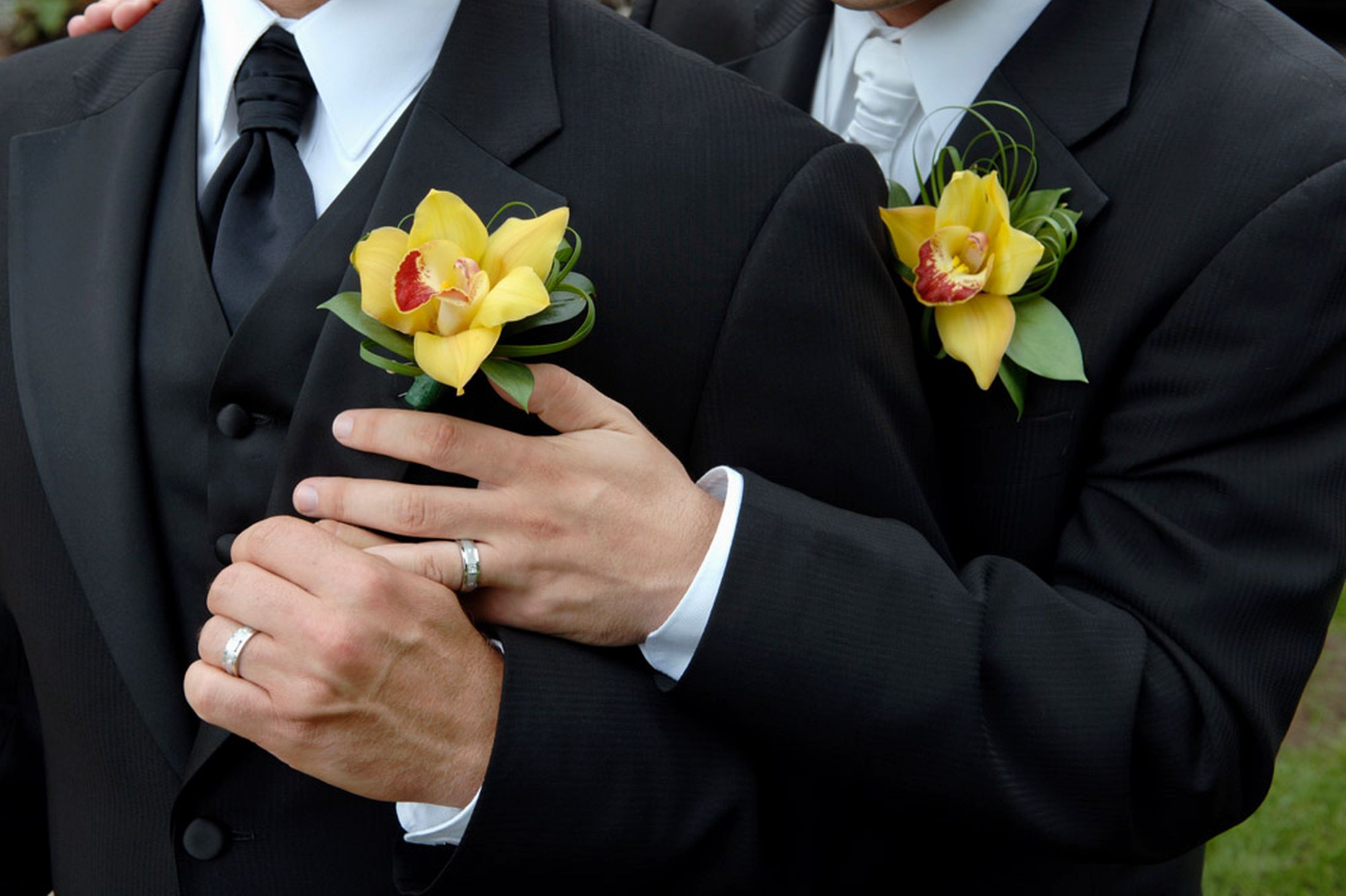"Casamento" gay gay wedding rings