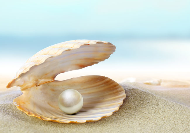 ostra perola