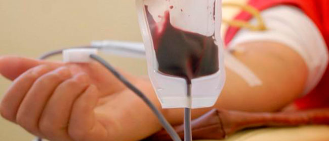 sangue slideshow
