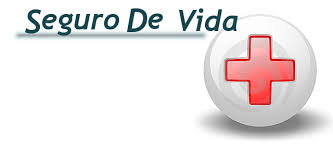 segurodevida 