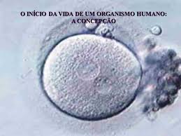 Conceção - início da vida humana