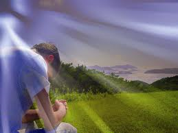 Para meditar ...