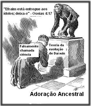 adorar_macaco.jpg