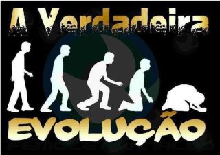 A verdadeira Evolução