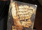 manuscrito.jpg