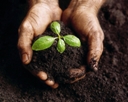 podaterra.jpg