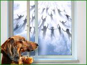 rapture_dog.jpg