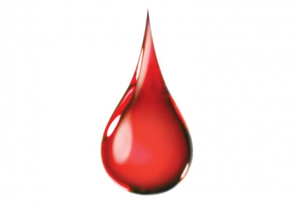 sangue 