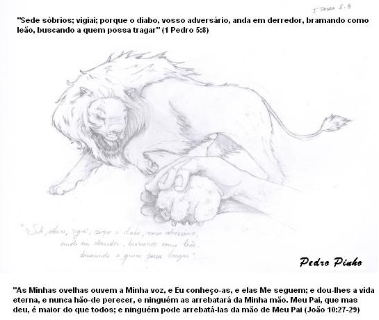 ovelha.jpg