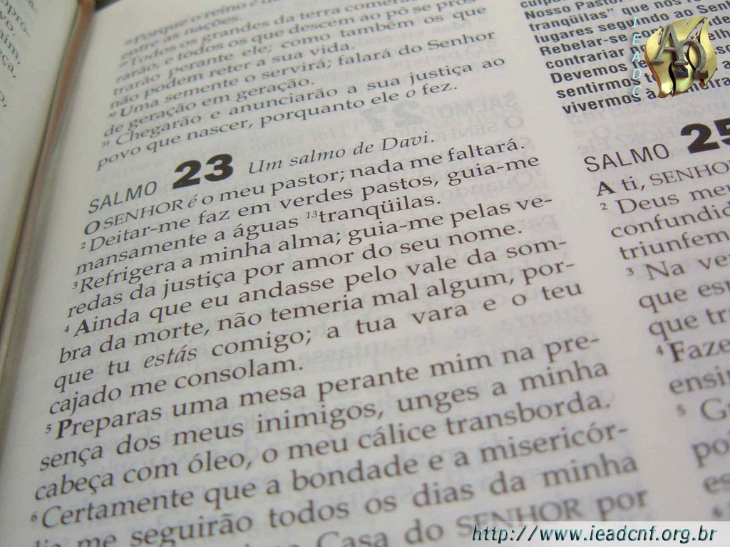 Salmo 23:4