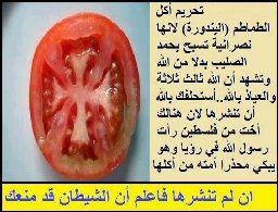A forma de cruz no interior de um tomate