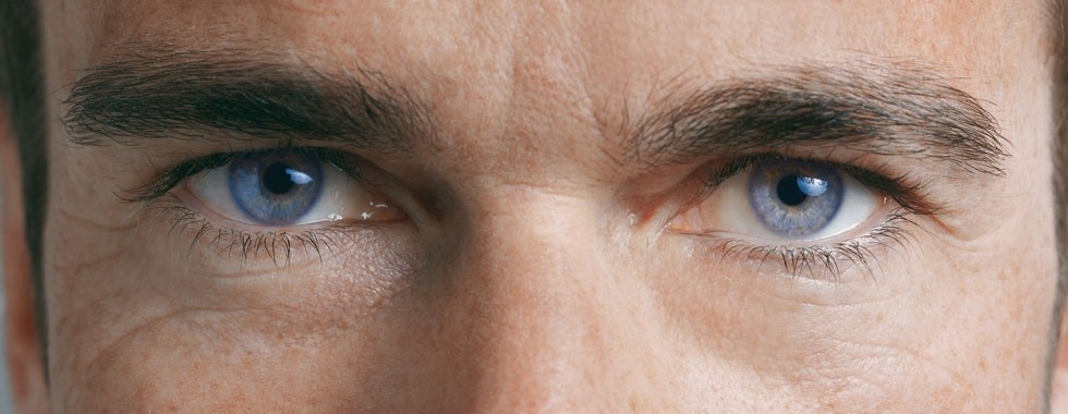 zeiss blindspot l